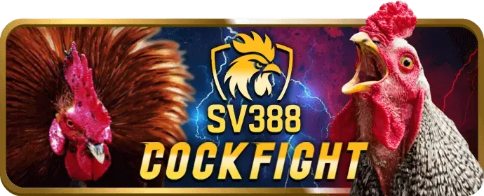 Trực tiếp đá gà chất lượng cao h58win